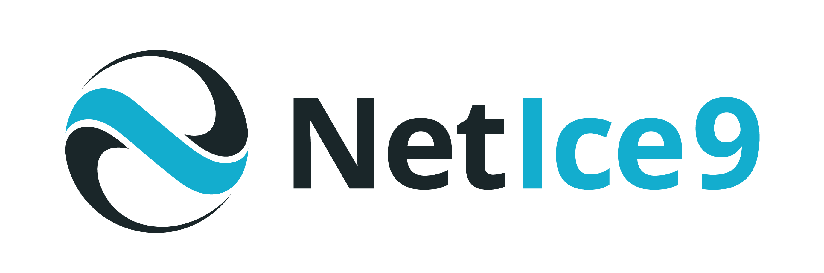 NetIce9